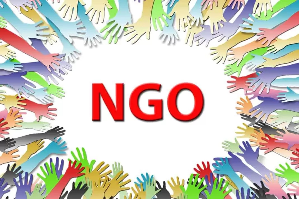 How to Identify the Best NGO in India and Why NGOs are Needed ?